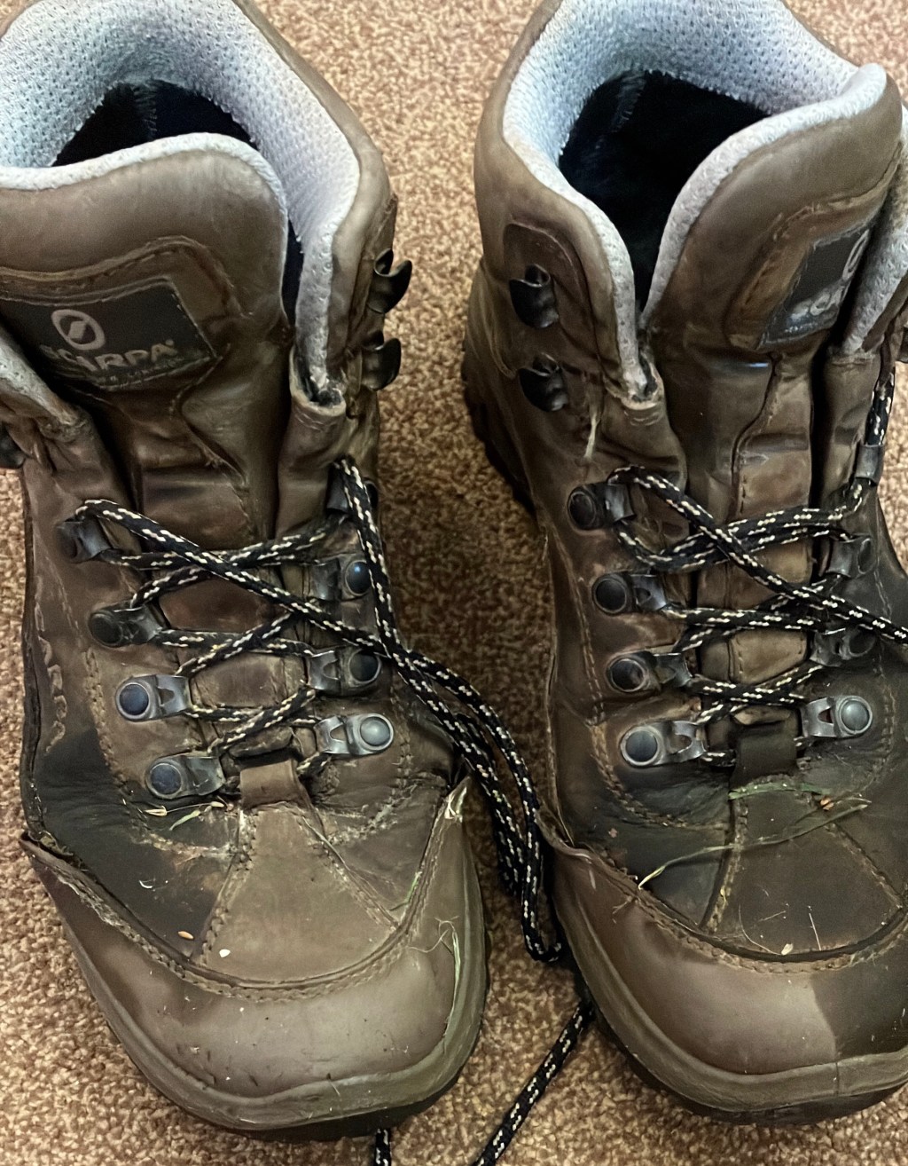 Day 29 and 30: Rest&nbsp;Days